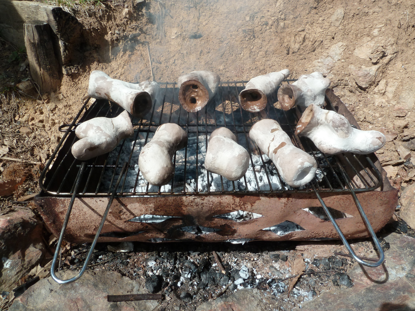 décirage des moules